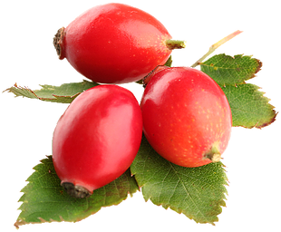 Rosehips